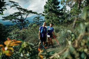 BIB: 
                            <button type="button" onclick="openModal(25260955)" class="btn btn-primary btn-sm float-right btn-popup" data-toggle="modal" data-target=".modal-high-quality">
                        <i class="fas fa-shopping-cart"></i> Add to Cart
                    </button>
                                            <button type="button" onclick="isThisMe(25260955, true)" class="btn btn-success btn-sm float-right btn-popup btn-isme hidden" data-toggle="tooltip" data-placement="bottom" title="นี่คือรูปของคุณใช่ไหม คลิกที่นี่เพื่อเอาเข้าอัลบั้ม">
                        <i class="fas fa-plus"></i> Add to album
                    </button>
                    <button type="button" onclick="isThisMe(25260955, false)" class="btn btn-warning btn-sm float-right btn-popup btn-isnotme hidden">
                        <i class="fas fa-ban"></i> Remove from album
                    </button>